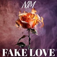 Nim - Fake Love