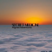 Secret Medicine - Aligned Adventures