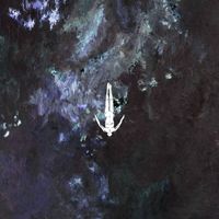 ROD - Brighten Up Bunny EP