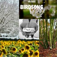 Tim Jones - Birdsong