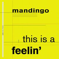 Mandingo - This Is a Feelin'
