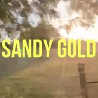 Sandy Gold - Where The Deer Go