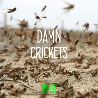 Mummy - Damn Crickets