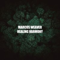 Marcus Weaver - Healing Harmony