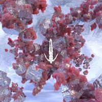 Stephan Bodzin, Innellea - Boavista