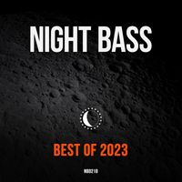 Night Bass - Best of 2023