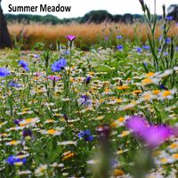 Whistles - Summer Meadow