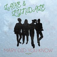 Lake & Lyndale - Mary Did You Know