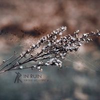 In Ruin - For Every Gift, a Curse