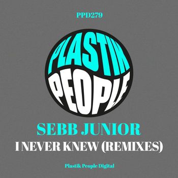 Sebb Junior - I Never Knew (Remixes)