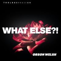 Orson Welsh - What Else?!