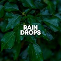 Nature Therapy - Rain Drops