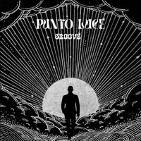 Groove - Punto Luce
