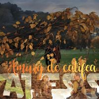 Alesis - Amurg De Catifea