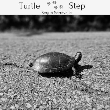 Sergio Serravalle - Turtle Step
