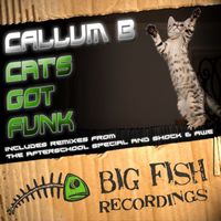 Callum B - Cat's Got Funk