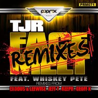 TJR - Face Melt Remixes