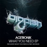 Acetronik - What You Need EP