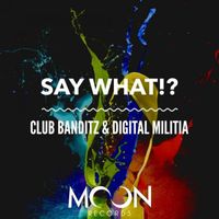 Club Banditz, Digital Militia - Say What!