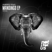 Alberto Tolo - Mandingo EP