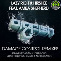 Lazy Rich & Hirshee feat. Amba Shepherd - Damage Control Remixes