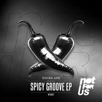 Going Ape - Spicy Groove EP