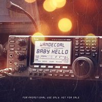Wande Coal - Baby Hello