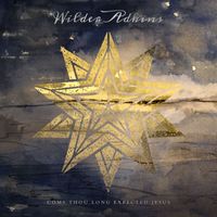 Wilder Adkins - Come Thou Long Expected Jesus