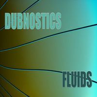 Dubnostics - Fluids
