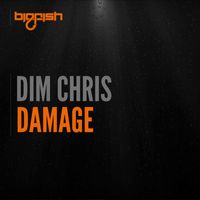 Dim Chris - Damage