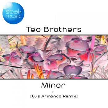 Teo Brothers - Minor