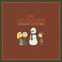 The Wildwoods - Somewhere in the Snow