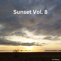 Torfi Olafsson - Sunset Vol. 8