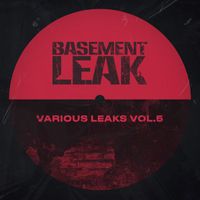 Basement Leak - Various Leaks Vol. 5