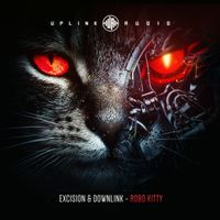 Excision & Downlink - Robo Kitty