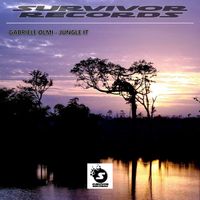 Gabriele Olmi - Jungle It (Original Mix)