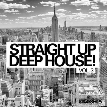 Various Artists - Straight Up Deep House! Vol. 3