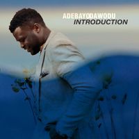 Adebayo Dawodu - Introduction