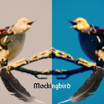 Wade Shaw - Mockingbird