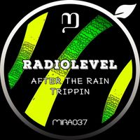 Radiolevel - After The Rain / Trippin