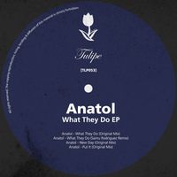 Anatol - What They Do EP