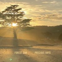 Forest Sun - Precious Days