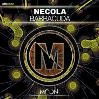Necola - Barracuda