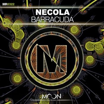 Necola - Barracuda