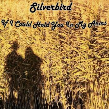 Silverbird - If I Could Hold You in My Arms
