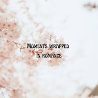 Matthew Hall - Moments Wrapped in Romance