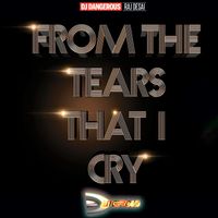 DJ Dangerous Raj Desai - From the Tears That I Cry