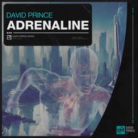 David Prince DJ - Adrenaline (Extended Mix)