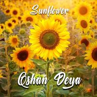Qshan Deya - SunFlower - Qshan Deya'