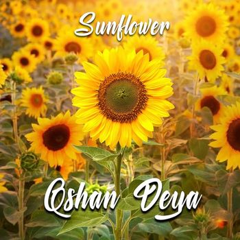 Qshan Deya - SunFlower
